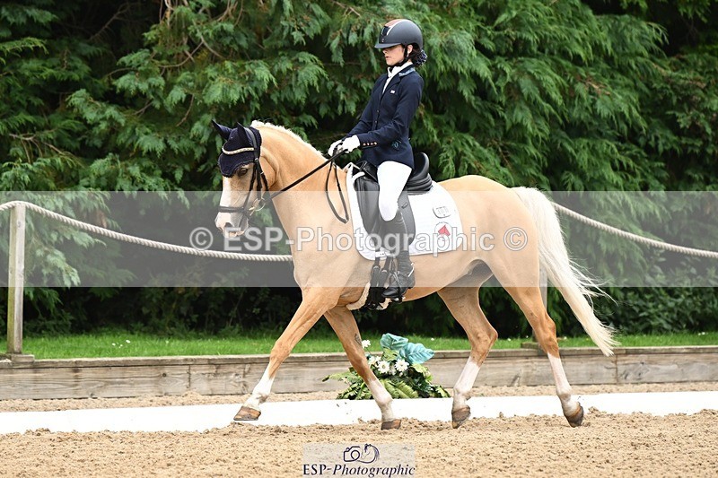 240811-122526-05822 - 301-Sophia.Longworth-Don.Deluxe