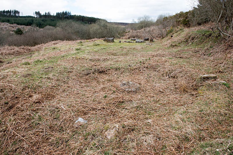 Buddle - Golden Dagger tin mine