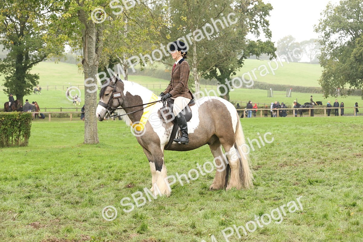 SBM_72857 - S70 - Traditional Cob Ridden