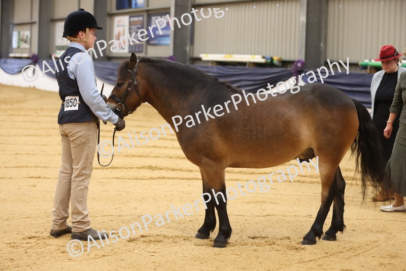 20260913-0071 - Class 121 - Young Handler 5-16