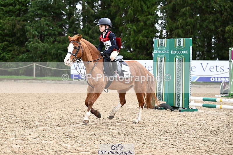 260222A-092810-00116 - 40cm Lead Rein and Assisted