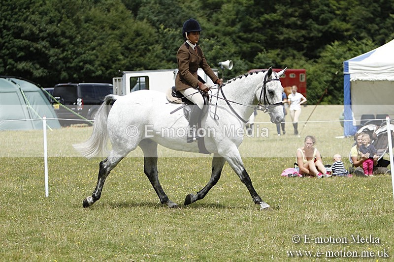 BVR160717-1831 - Ring 3 BVRC Show 16/07/17