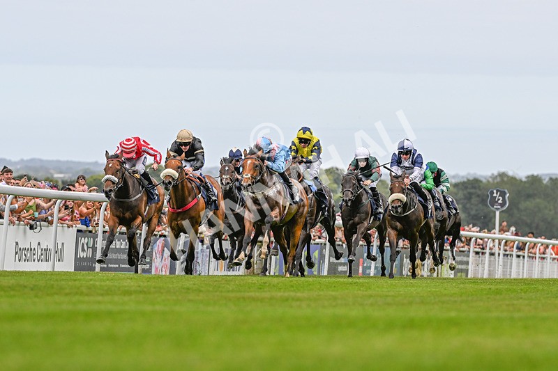 140824-Race 1-Lord Roxby-3394 - Race 1