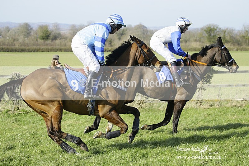 PtP 260222 575 - Kingston Blount Racing Club Point-to-Point 26/02/22