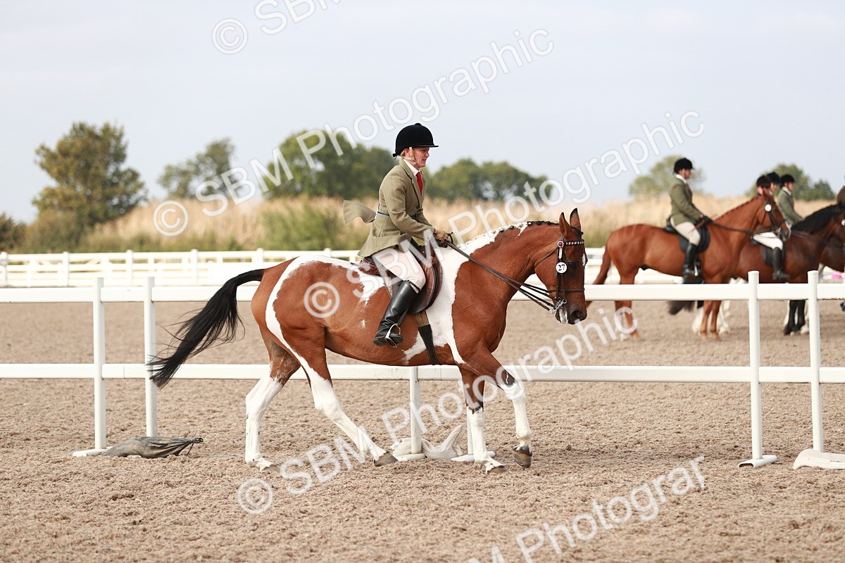SBM_17502 - Class 215 Ridden Hack/ Riding Horse