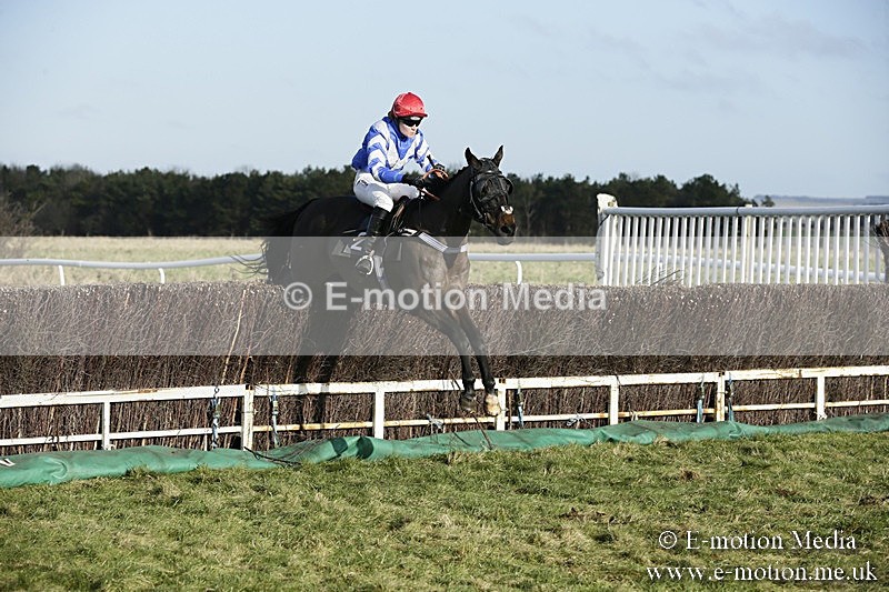 PtP 070118 -76 - Larkhill Racing Club Point to Point Larkhill 07/01/2018