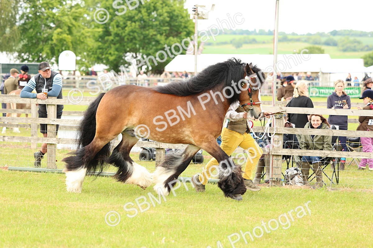 SBM_06280 - Class 39-41 TGCA In Hand and Ridden