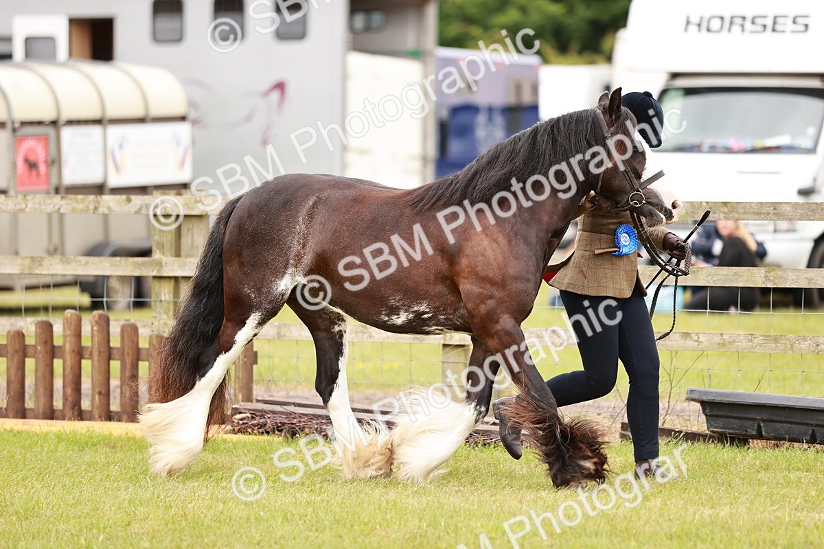SBM_04733 - Class 5-8 - BSPA In hand