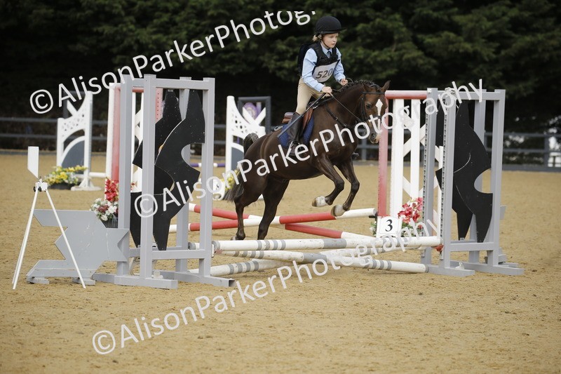 20250622-1418 - 40cm