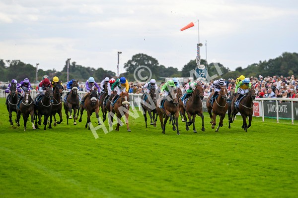 210824-Race 1-Jm Jungle-4480 - Race 1 1.50pm Symphony Group Handicap