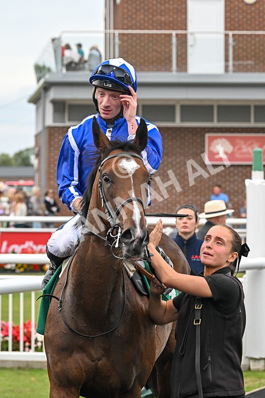 060925-Race 4-Dash Of Azure-5744 - Race 4