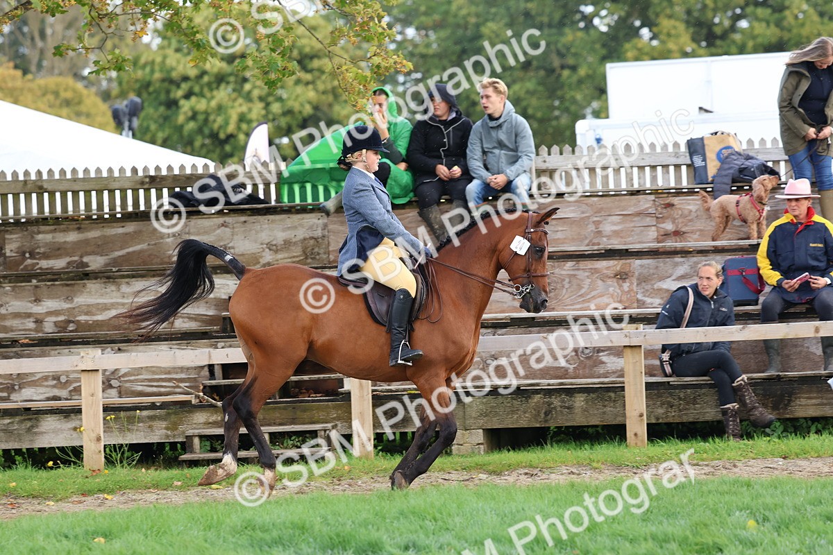 SBM_47644 - S28 - Veteran Ridden