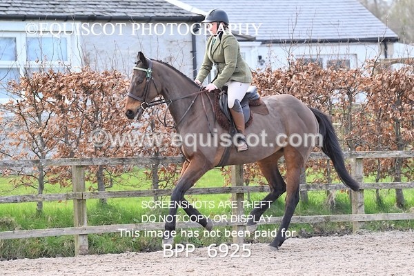 BPP_6925 - RING 1  (RIDDEN HORSES / IN HAND / VETERAN ETC)