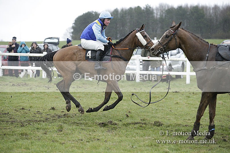PtP 150320 0373 - New Forest Point-to-Point Larkhill 15/03/20