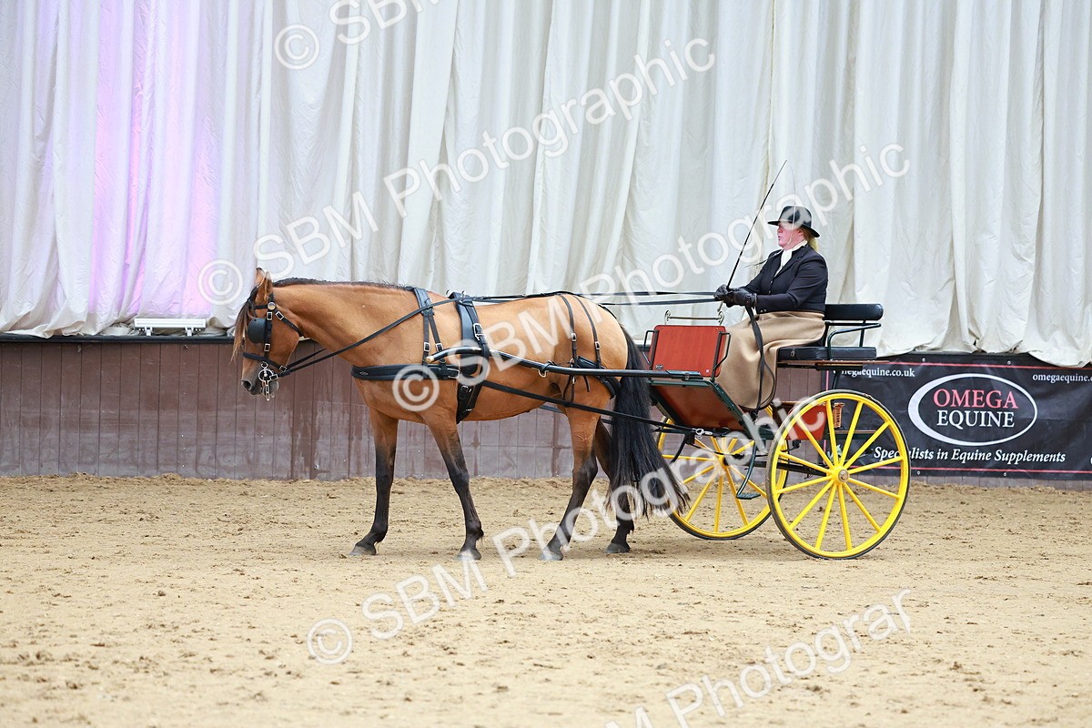 SBM_001065 - Class 15 - Open Showmans Class