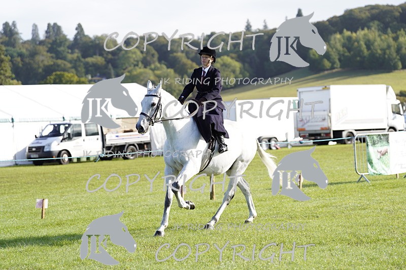 _DSC9371 - Class 8 & 17 Ridden Hunter & Ridden Hunter Pony