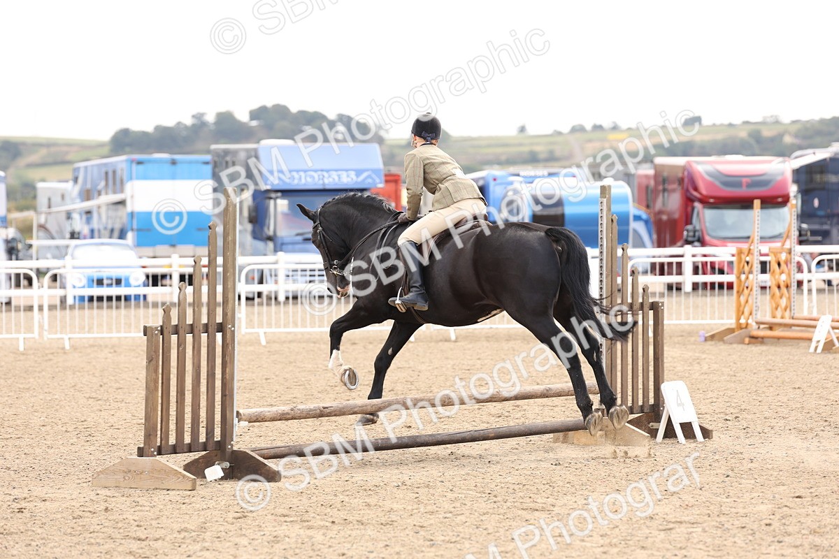 SBM_04225 - Class 54 - Riding Club Horse/Pony