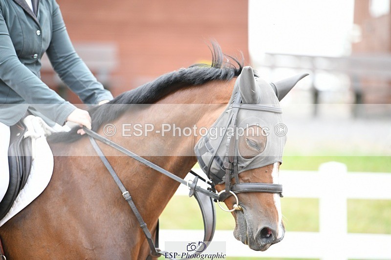 250803-084102-11617 - Cls 31 a&b British Novice & 90cm Open