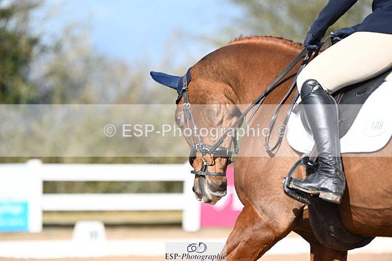 240323A-095556-01044 - MyQuest Prelim 12