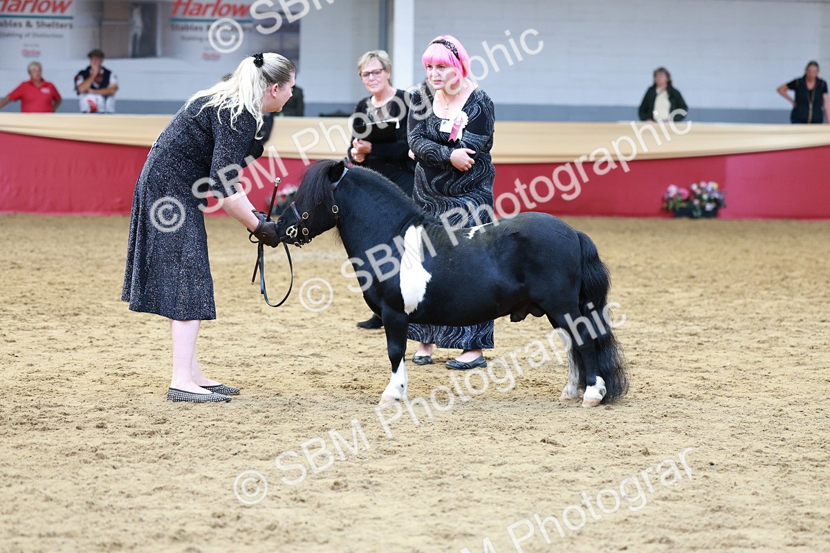 SBM_17372 - Class 951 - M&M IH Supreme Final