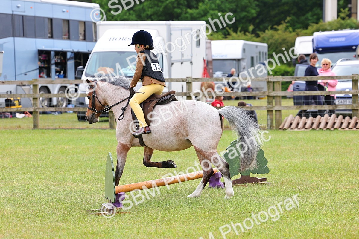 SBM_08596 - Class 42-43 - LIHS BSPS Heritage Working Sports Pony