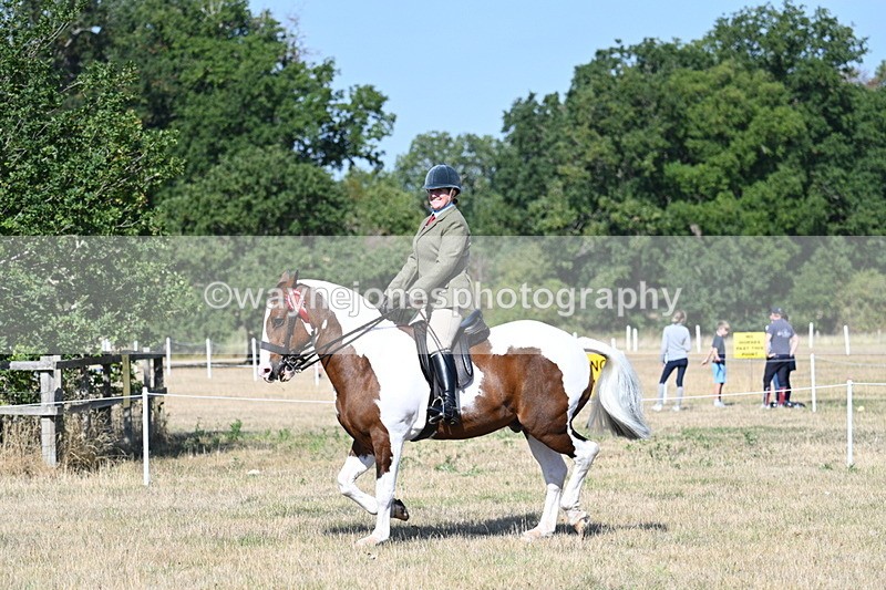 WJ7_3246 - Class 8 Ridden Tack & Turnout