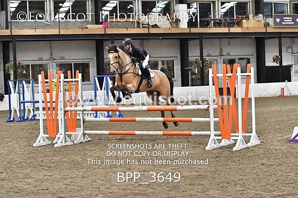 BPP_3649 - FRI CLASS 21 BR NOVICE/90CM