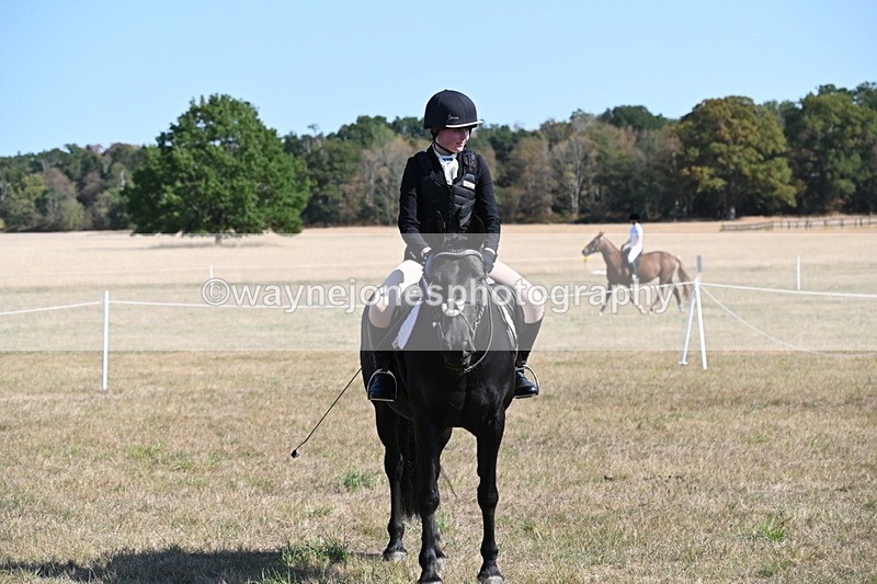 WJ6_7697 - Class 34 Judges Choice
