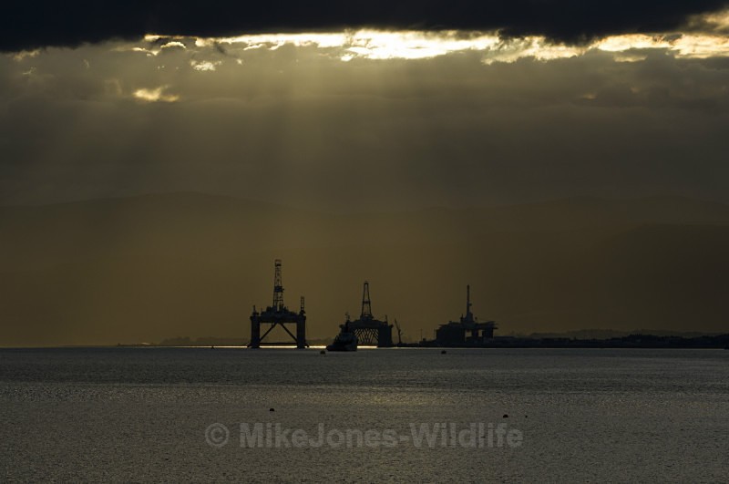 Cromarty firth, towards Invergordon, Scotland - SCOTLAND LANDSCAPE PHOTOGRAPHY