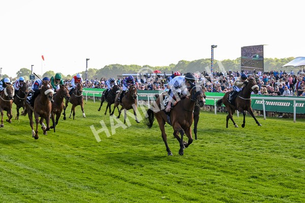160525-Race 5-The Man-7023 - Race 5 4.15pm Irish Thoroughbred Marketing Handicap