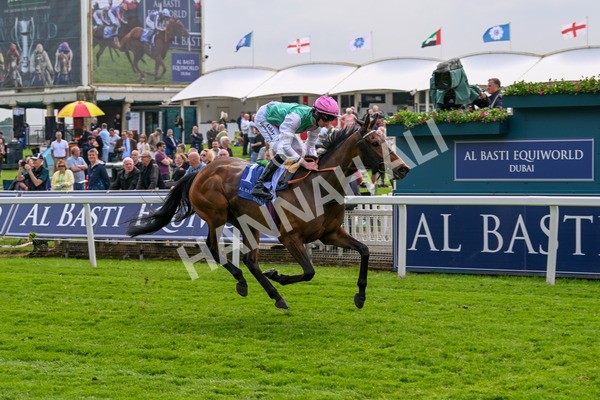 160524-Race 3-Bluestocking-5665 - Race 3 3.15pm  Al Basti Equiworld Dubai Middleton Fillies' Stakes