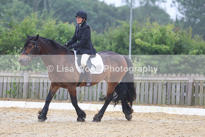 3E7A8471 - Class 2: Intro 3 2024 section B