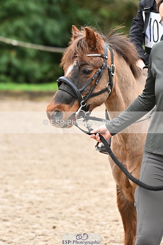 260222A-090748-00027 - 40cm Lead Rein and Assisted