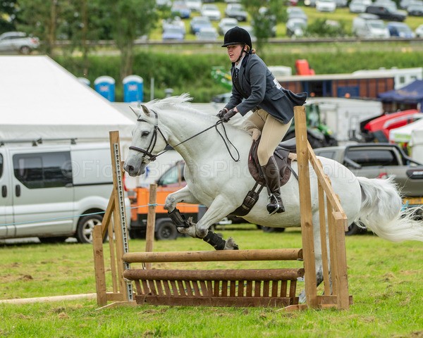Dunblane show-239 - Dunblane and Doune Show Ring 1