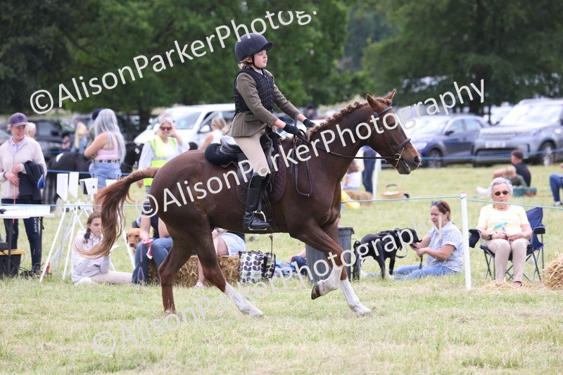 20260614-2761 - Class 22 - Open Working Hunter