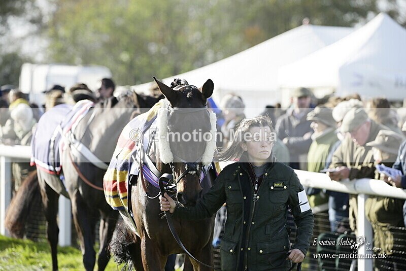 PtP 250921 0254 - Point-to-Point Badbury Rings Dorset 07/11/2021