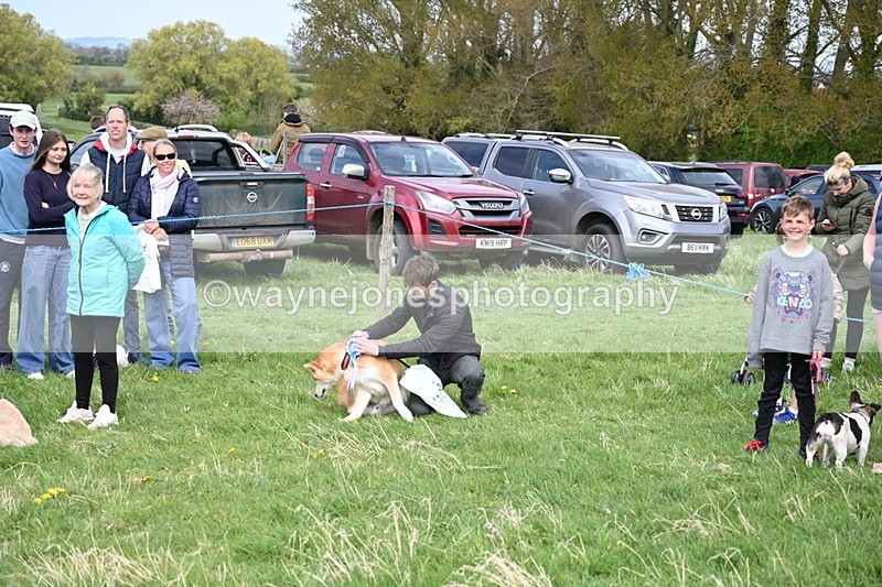 WJ6_8608 - Class 6 Best Rescue