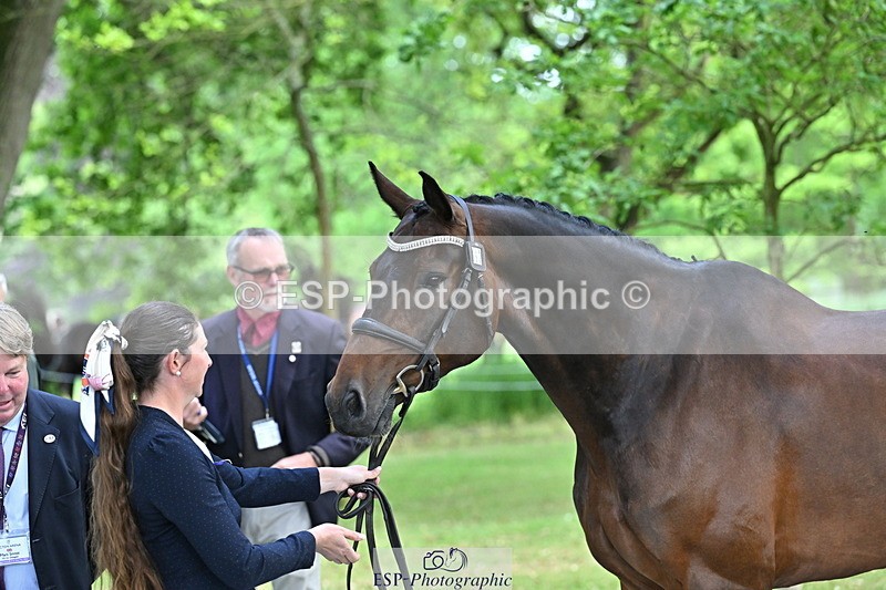 250521A-150912-00298 - B-302-Samantha.Lissington-LUCAS.STONE