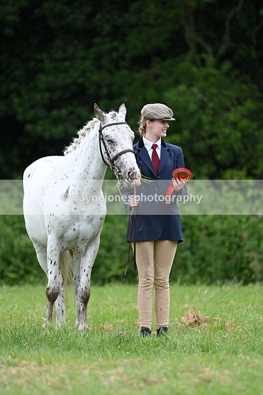 WJ7_4542 - Class 14B Prettiest Mare