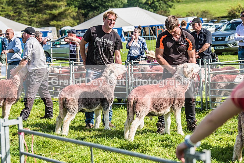 Loweswater Show-29 - Loweswater Show Junior & Senior Fell Races Sunday 3rd September 2023