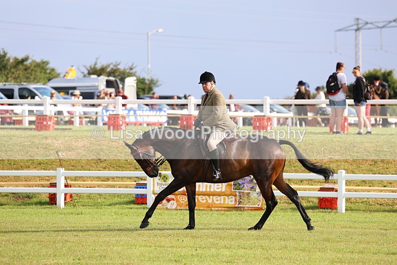 3E7A8187 - Class 2: Rising Star Large Hack/Riding Horse