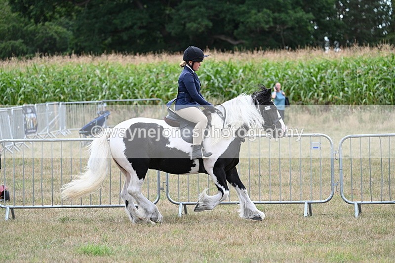 WJ7_5341 - Class 12 Ridden Cob