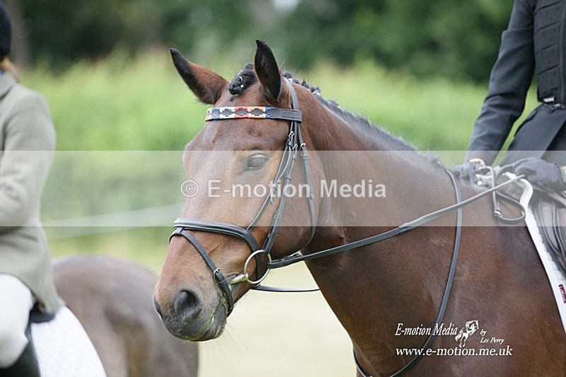 BVRC 030721 821 - Bourne Valley Riding Club Dressage 03/07/21