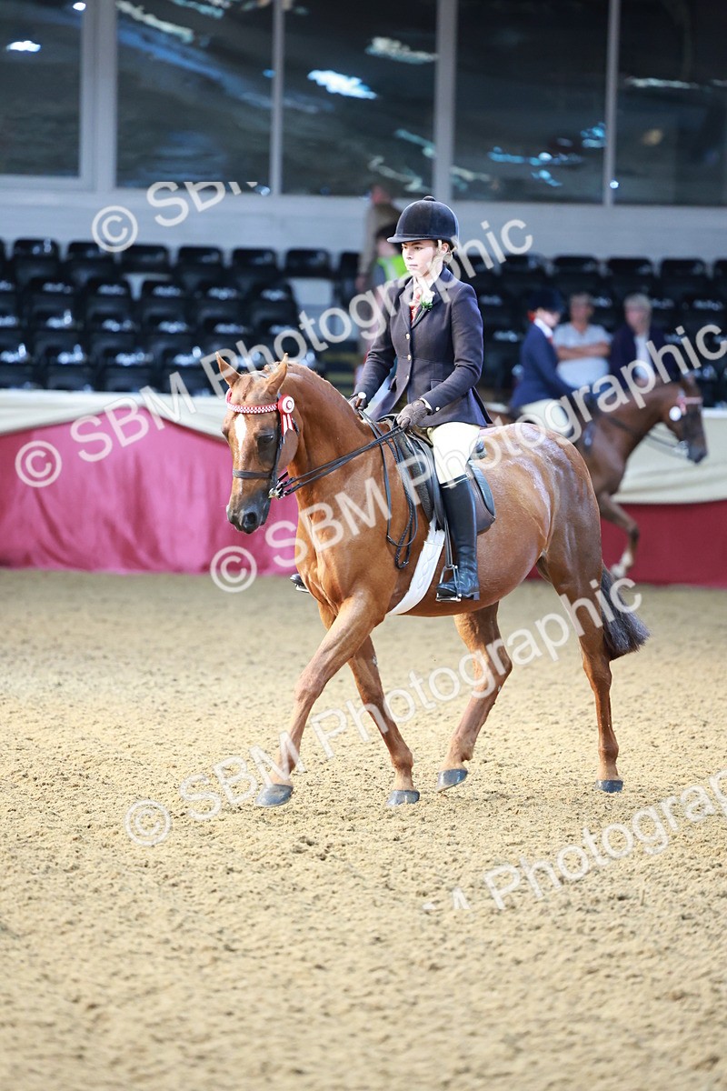 SBM_11836 - Class 102 - Equitation (Best Rider) Adult