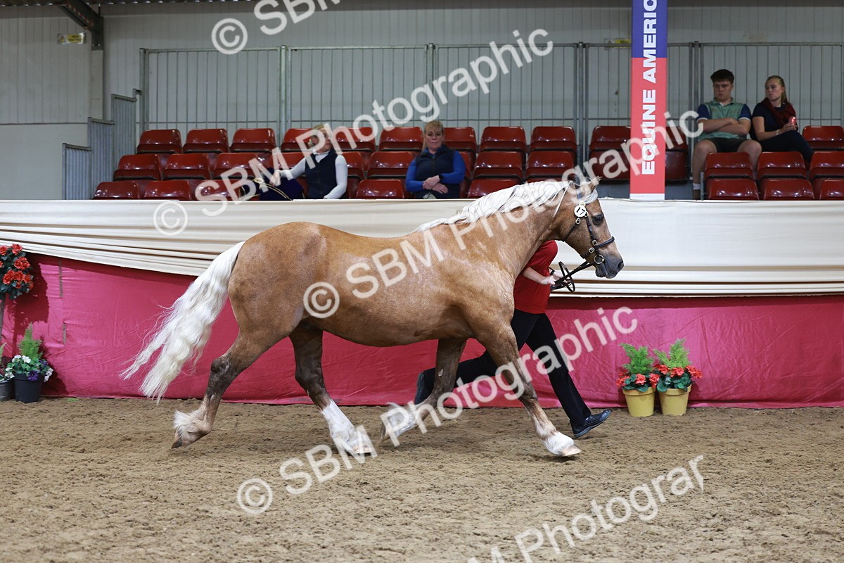 SBM_17447 - Class 951 - M&M IH Supreme Final