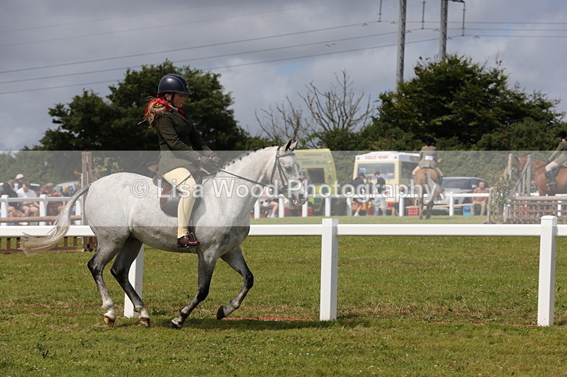 1X9A3999 - Class 32: Show Hunter Pony 153cm and under