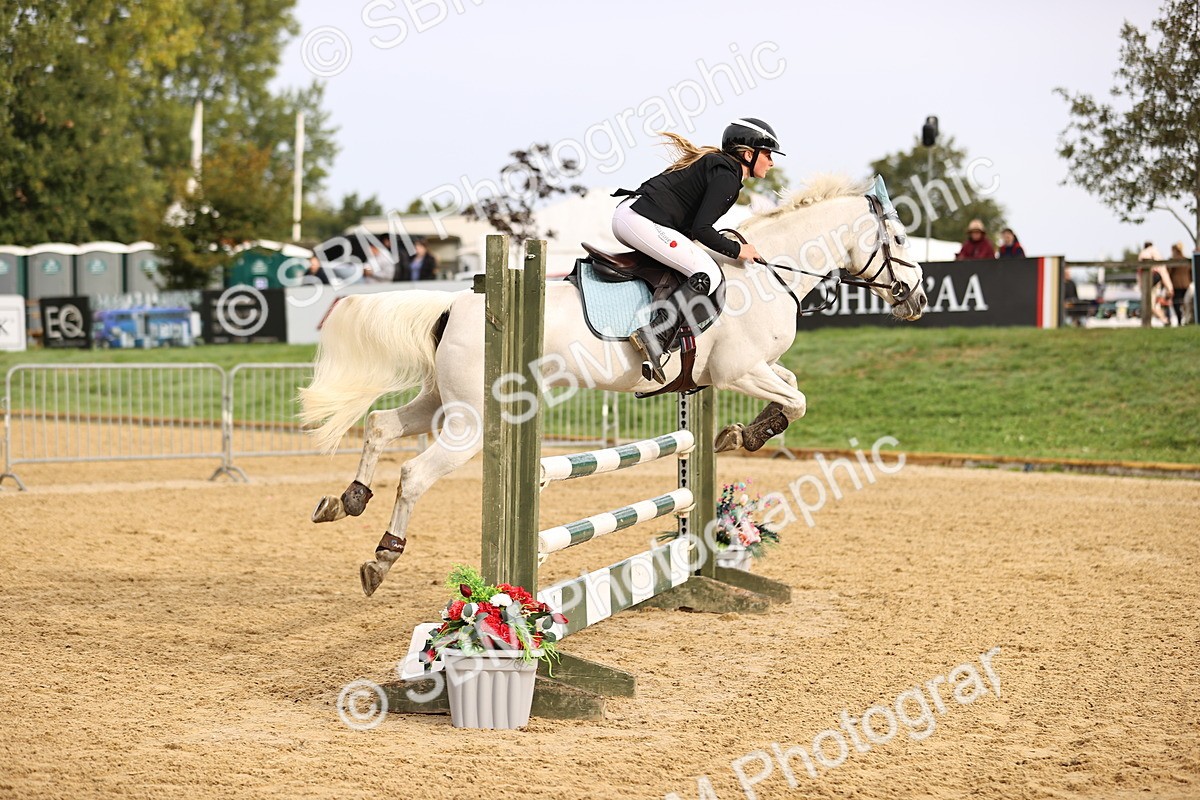 SBM_58183 - J41 - Grand Tour Horse & Pony 95cm