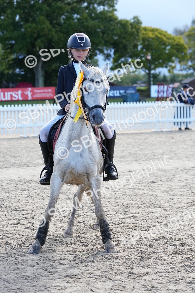 SBM_36405 - J5 - Junior Pony 50cm Championship