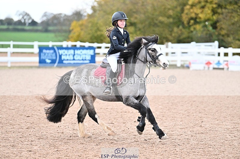 241117X-082521-03060 - Cls 02s Pony intro 70cm