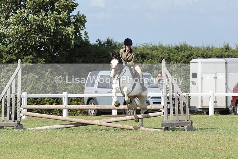 JPP_2793 - Class 20: Working Hunter 70cm